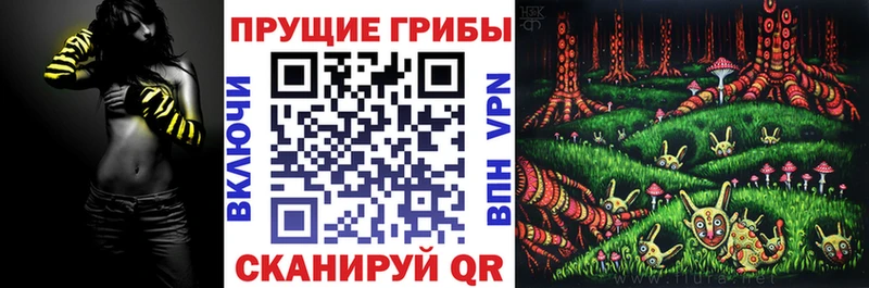 Псилоцибиновые грибы прущие грибы  купить наркотик  Жердевка 